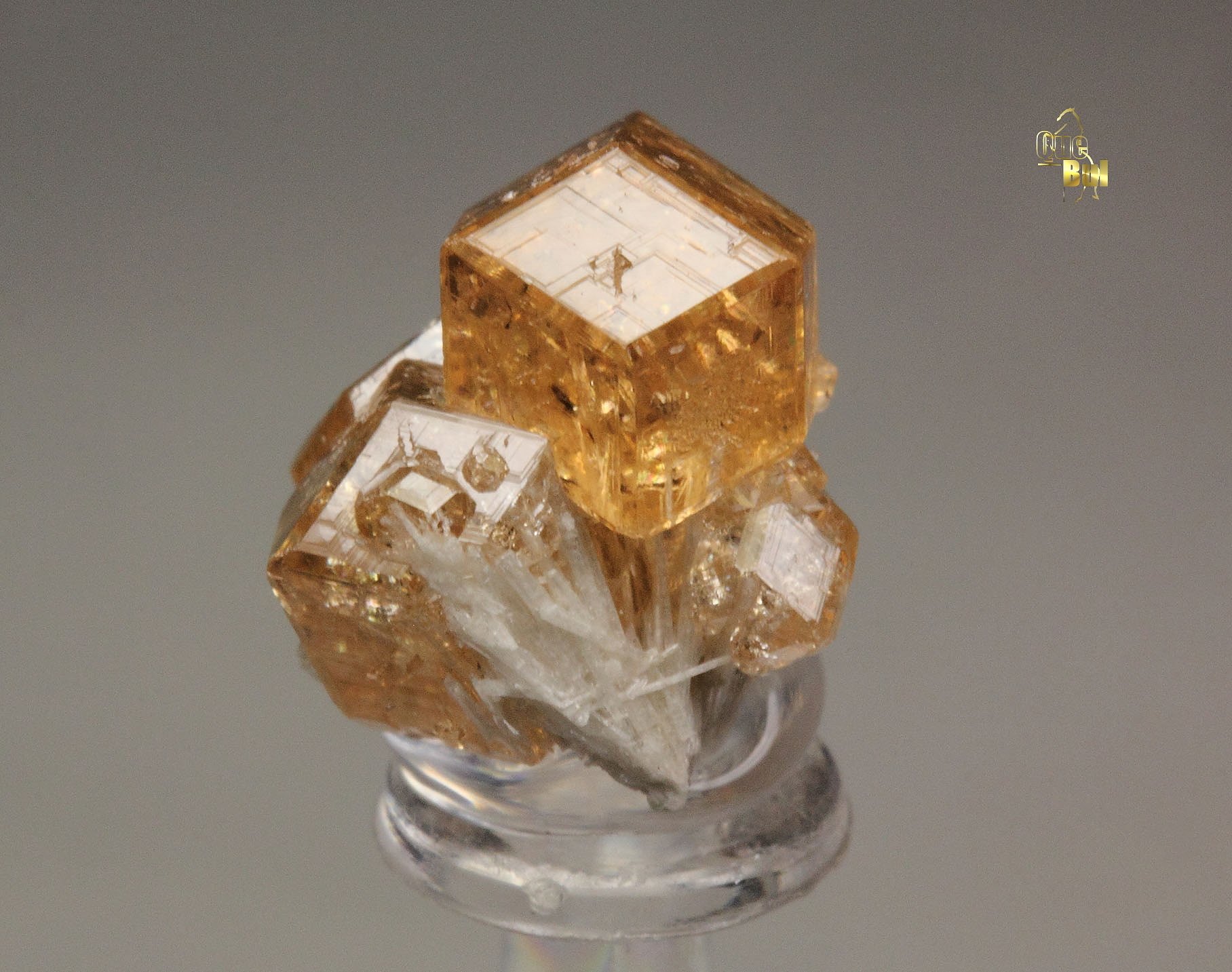 gem GARNET var. GROSSULAR, DIOPSIDE