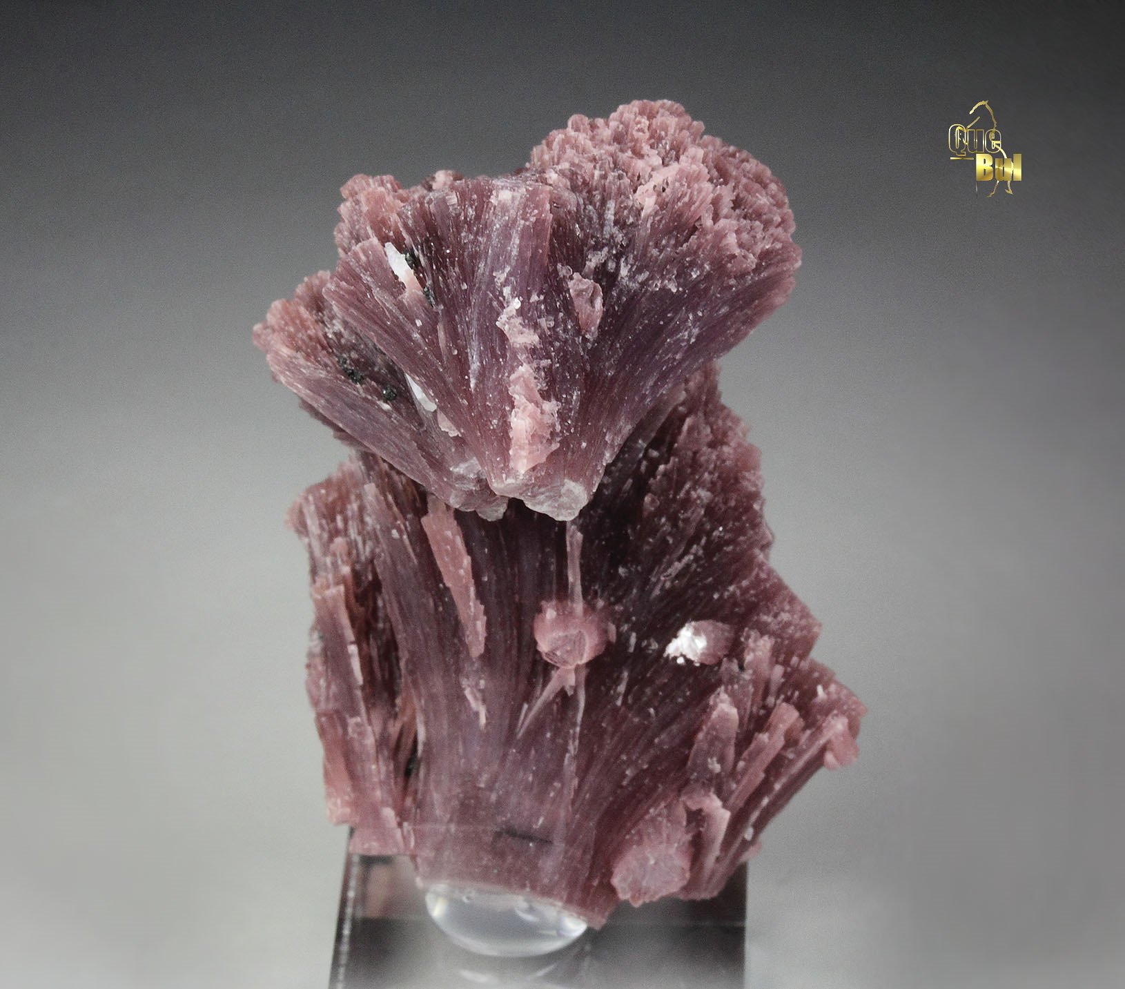 LEPIDOLITE