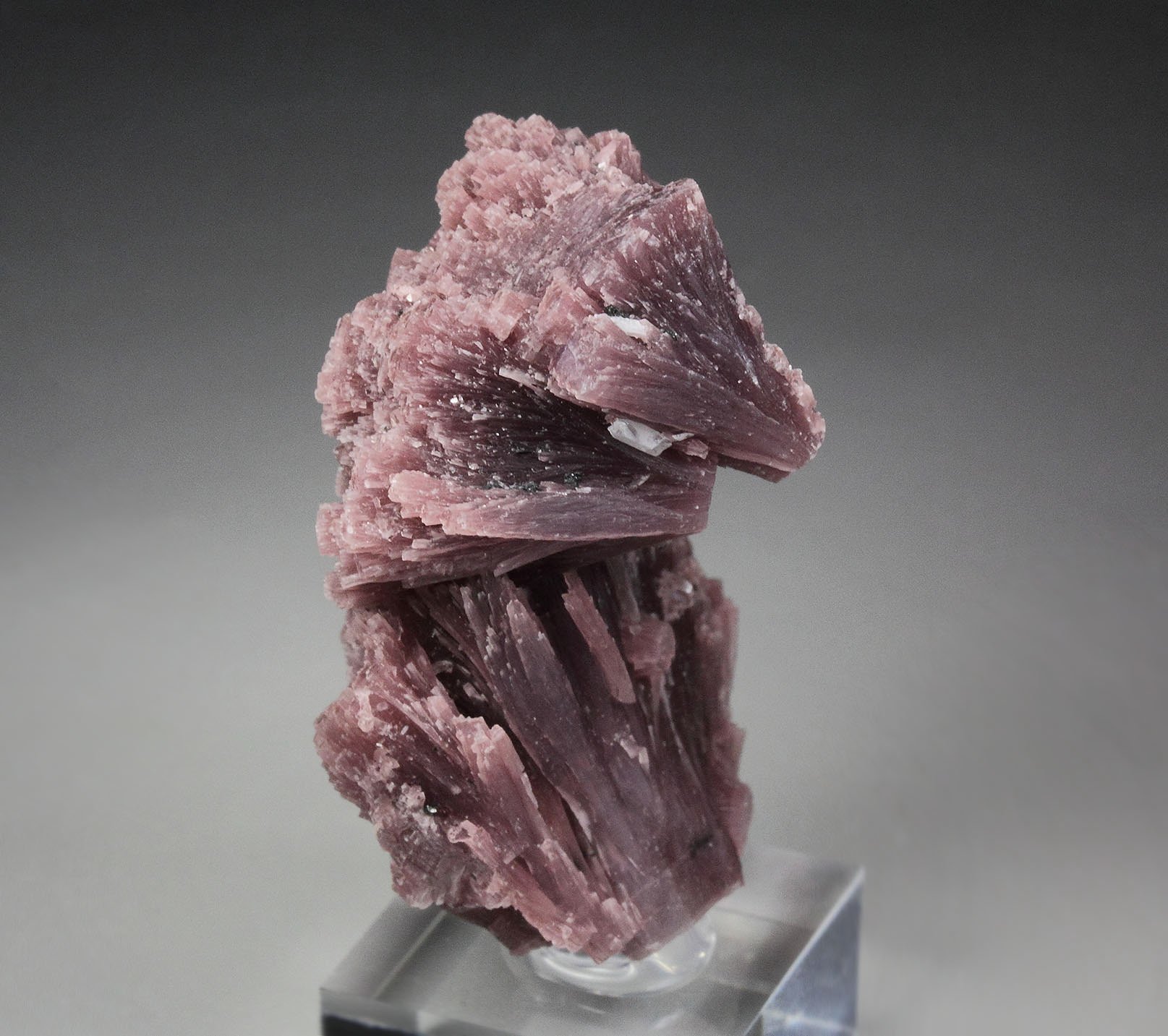 LEPIDOLITE