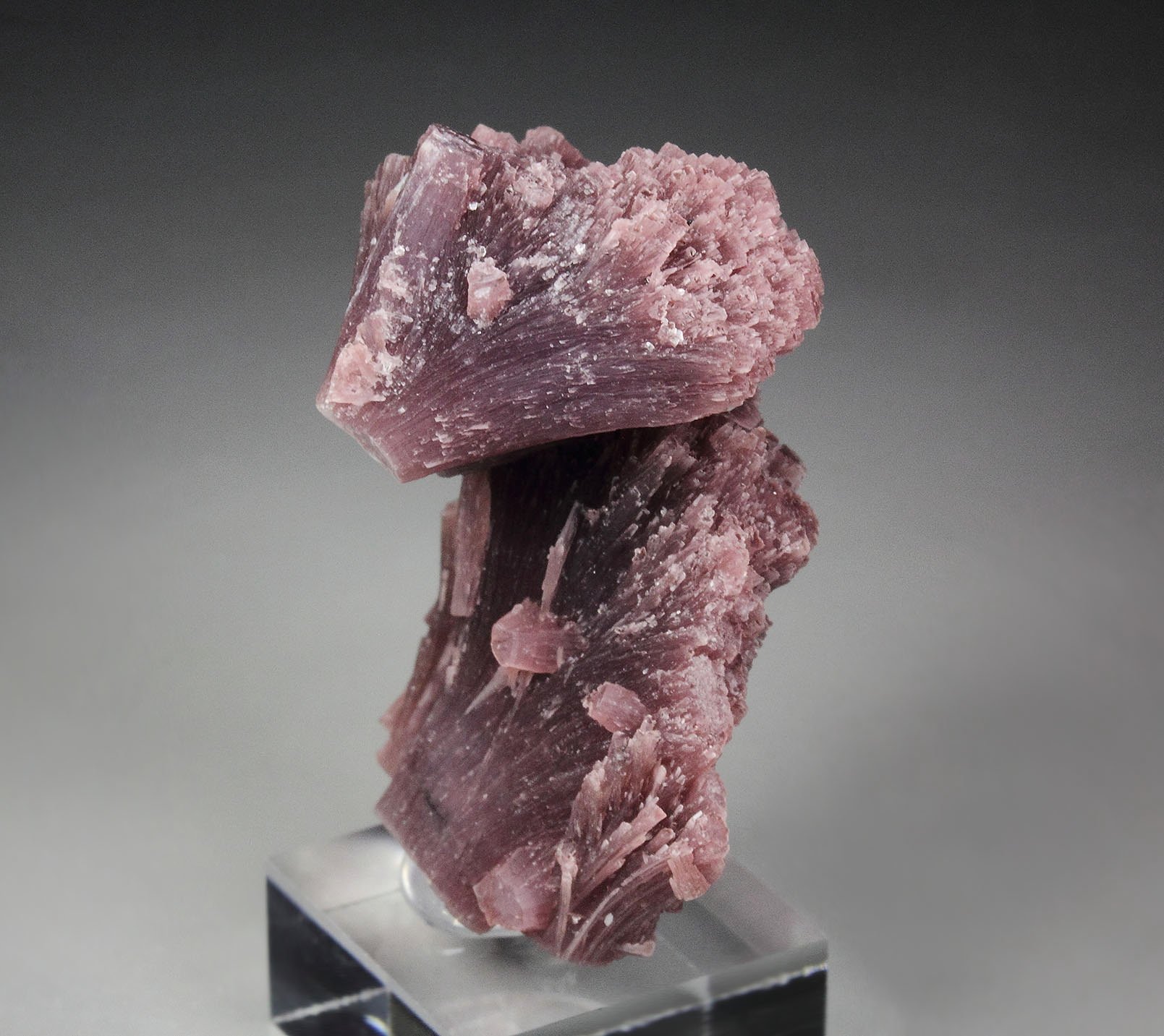 LEPIDOLITE