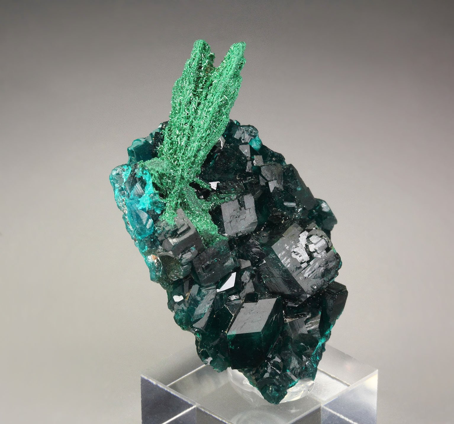 DIOPTASE, MALACHITE pseudomorph