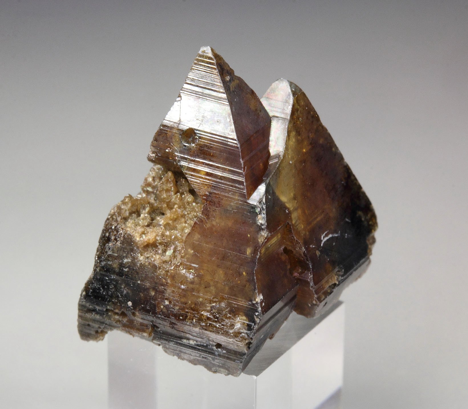 ANATASE, RUTILE pseudomorph