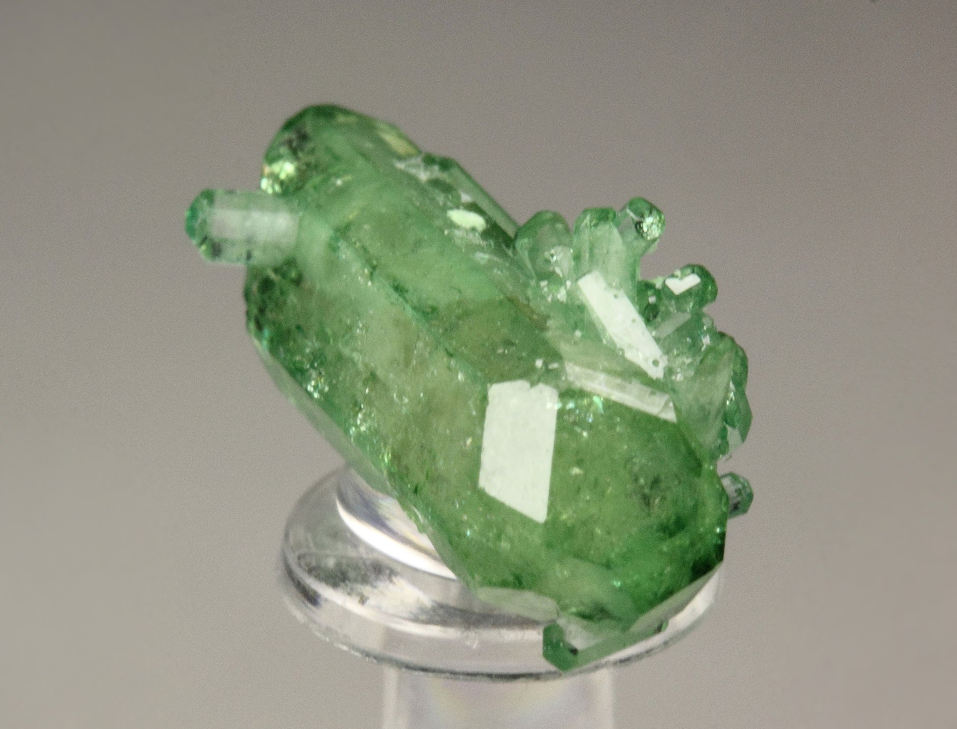 bi-terminated VESUVIANITE var. CHROMIAN