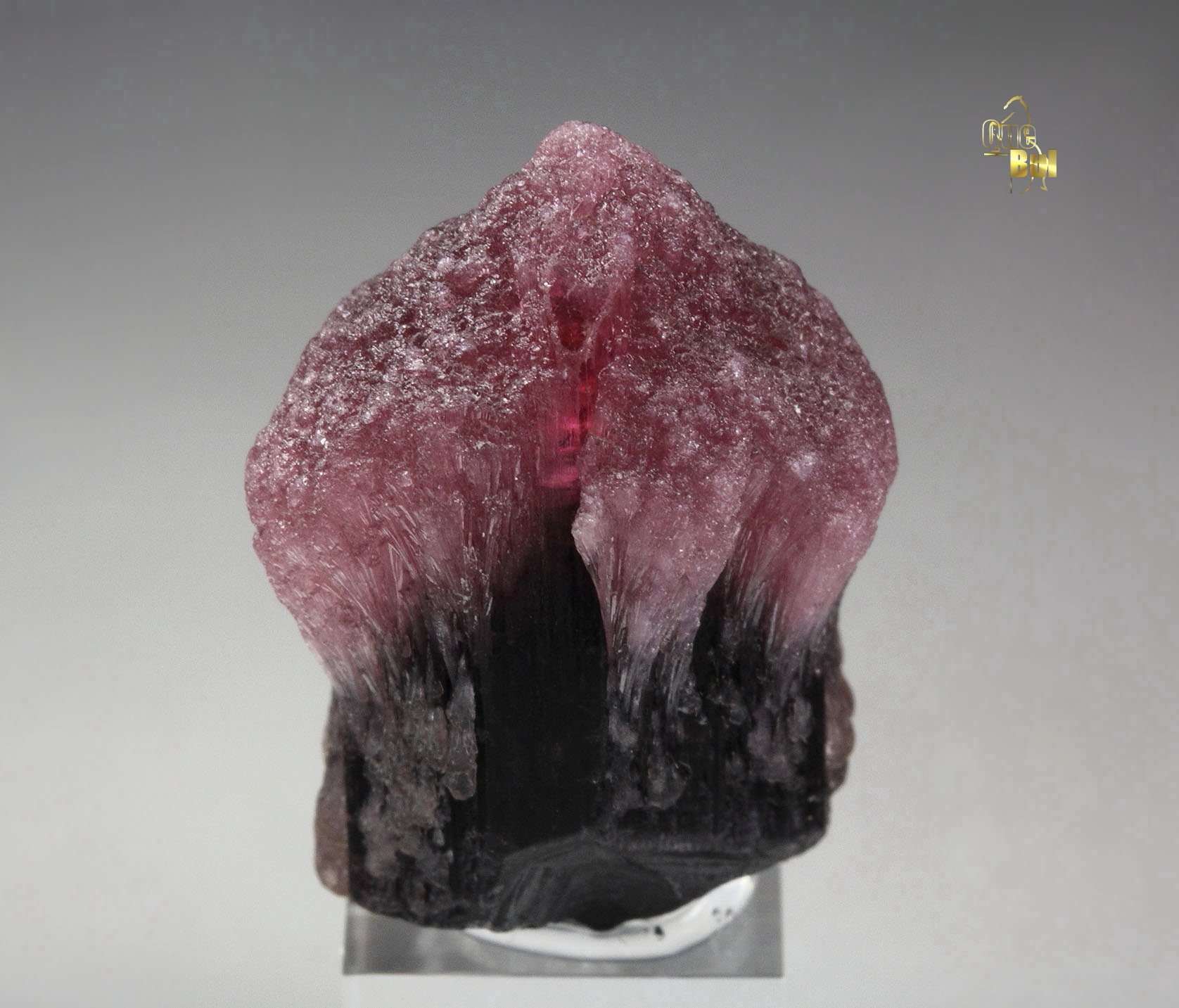 TOURMALINE var. RUBELLITE