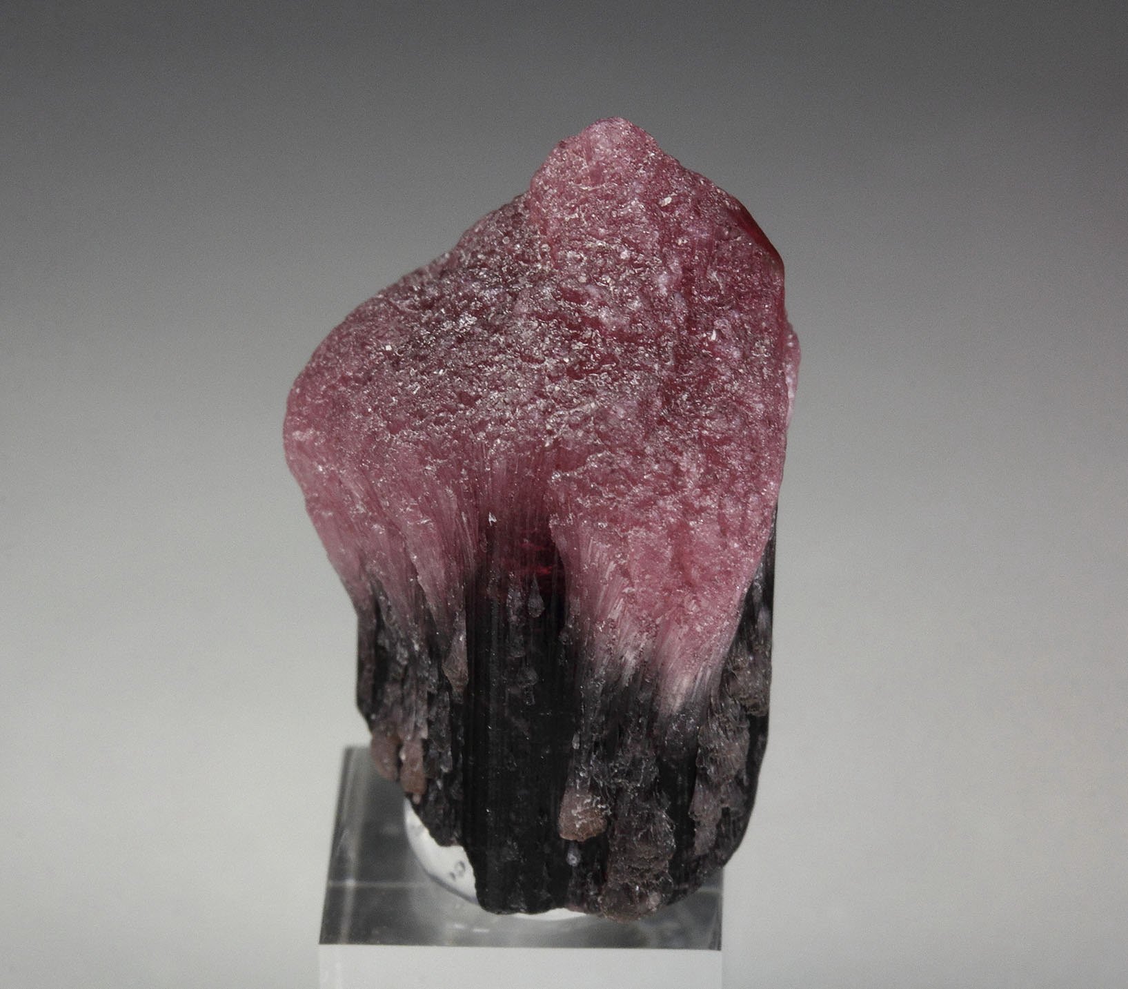 TOURMALINE var. RUBELLITE