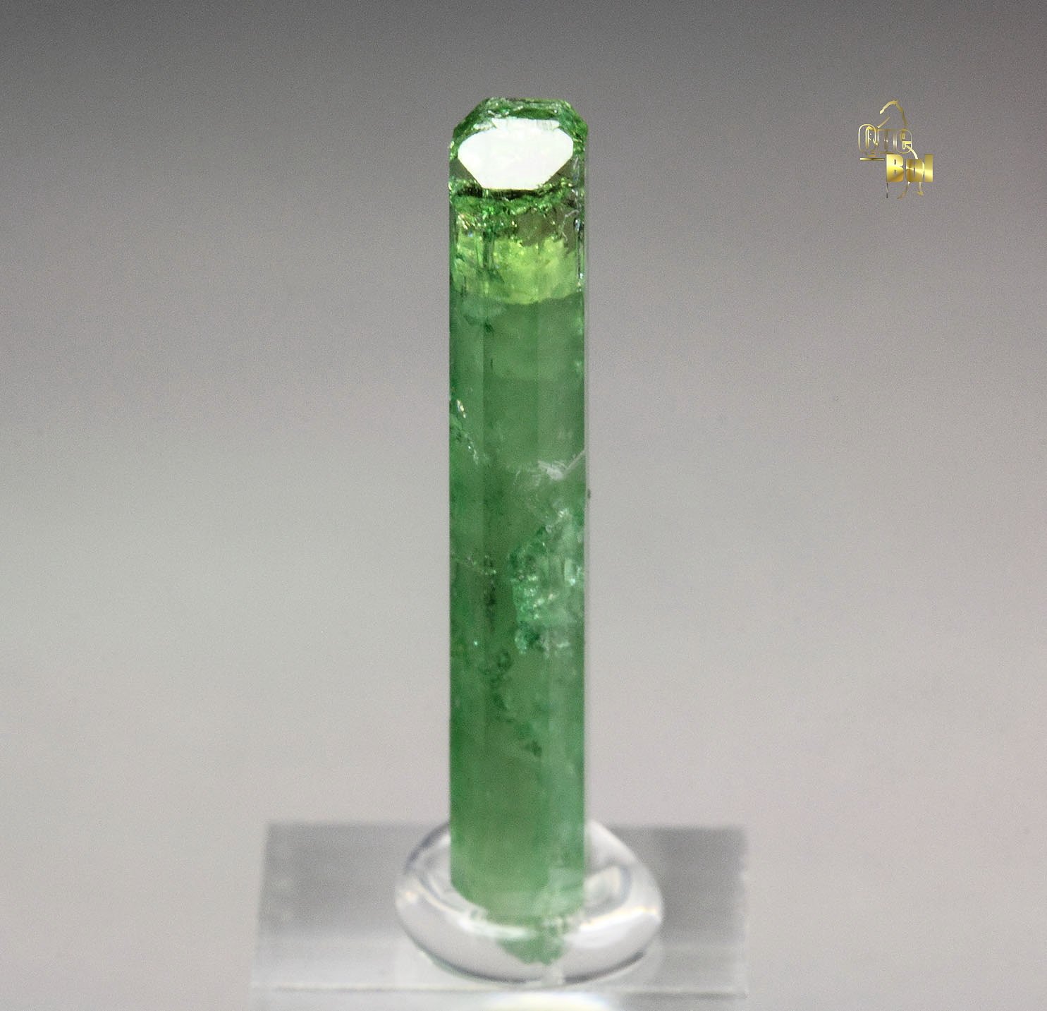 VESUVIANITE var. CHROMIAN