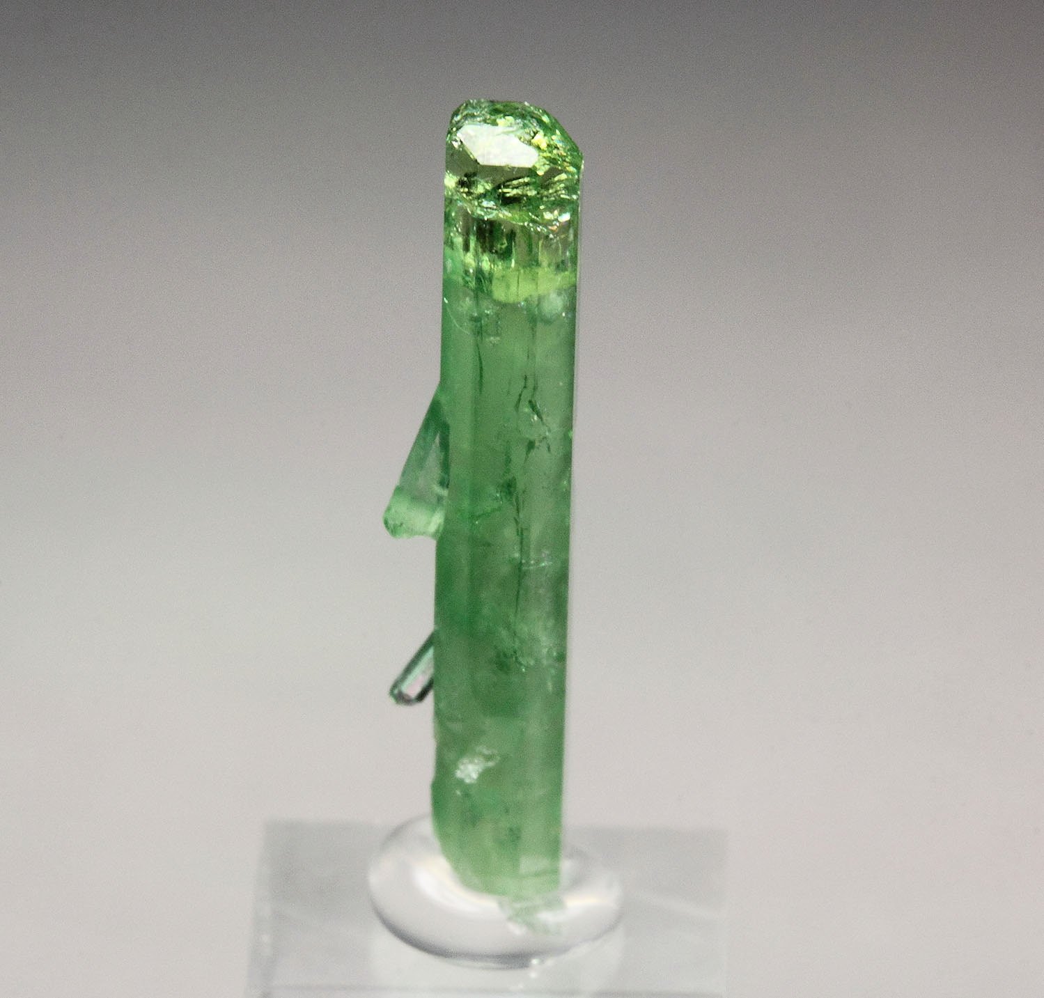 VESUVIANITE var. CHROMIAN