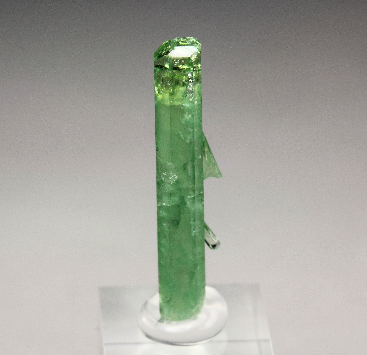 VESUVIANITE var. CHROMIAN