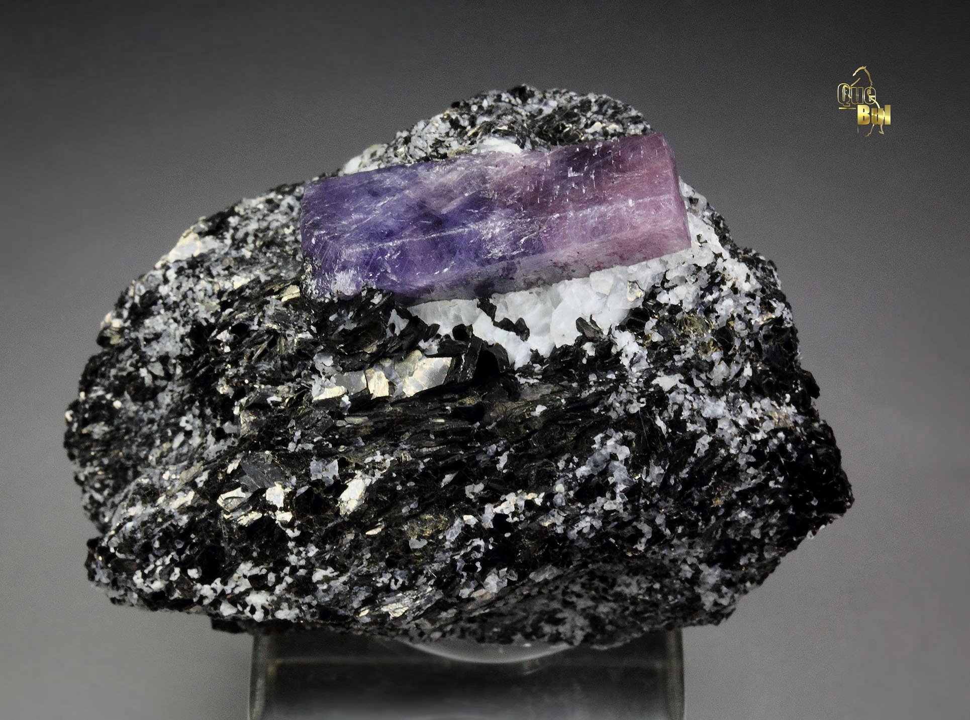 bi-color CORUNDUM var. RUBY, MUSCOVITE