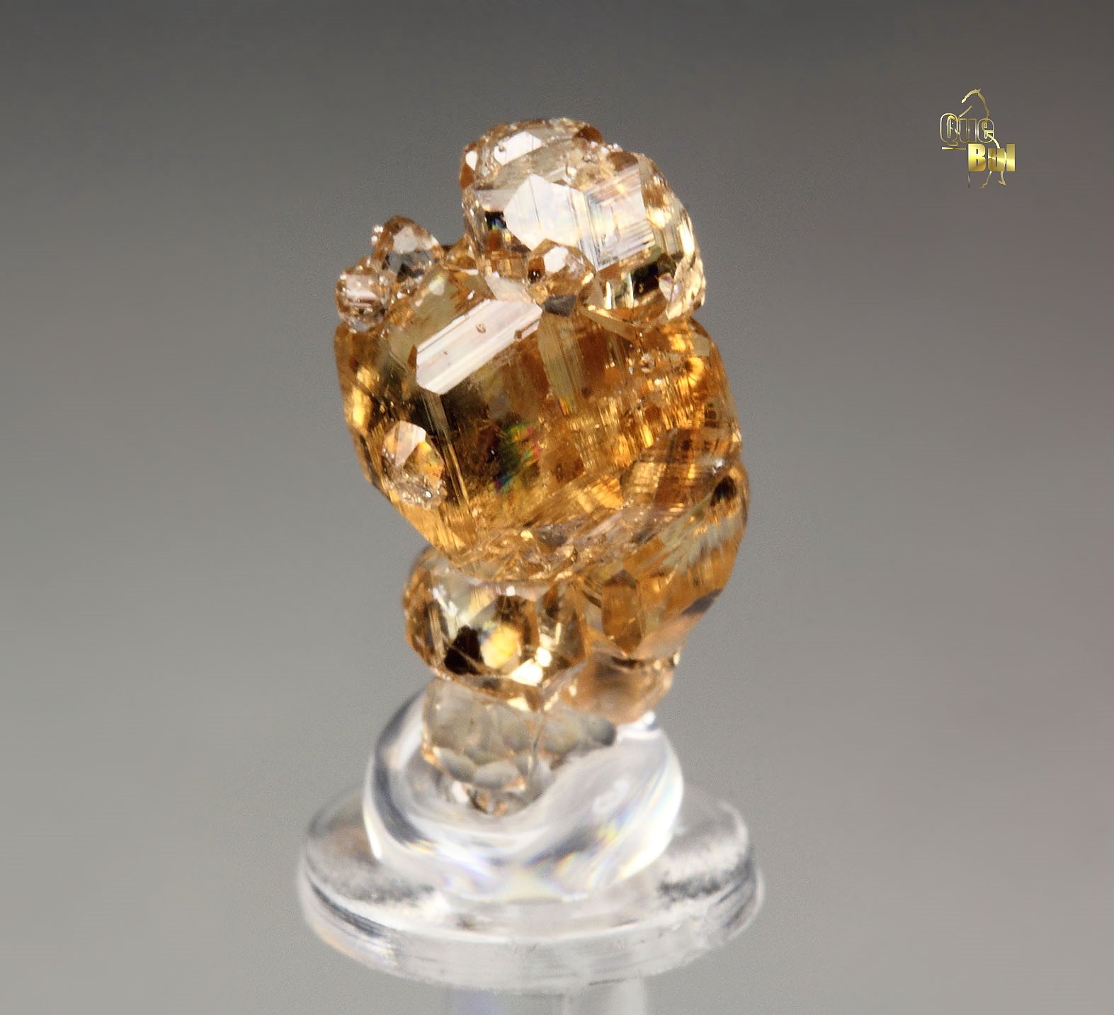 gem GARNET var. GROSSULAR - floater