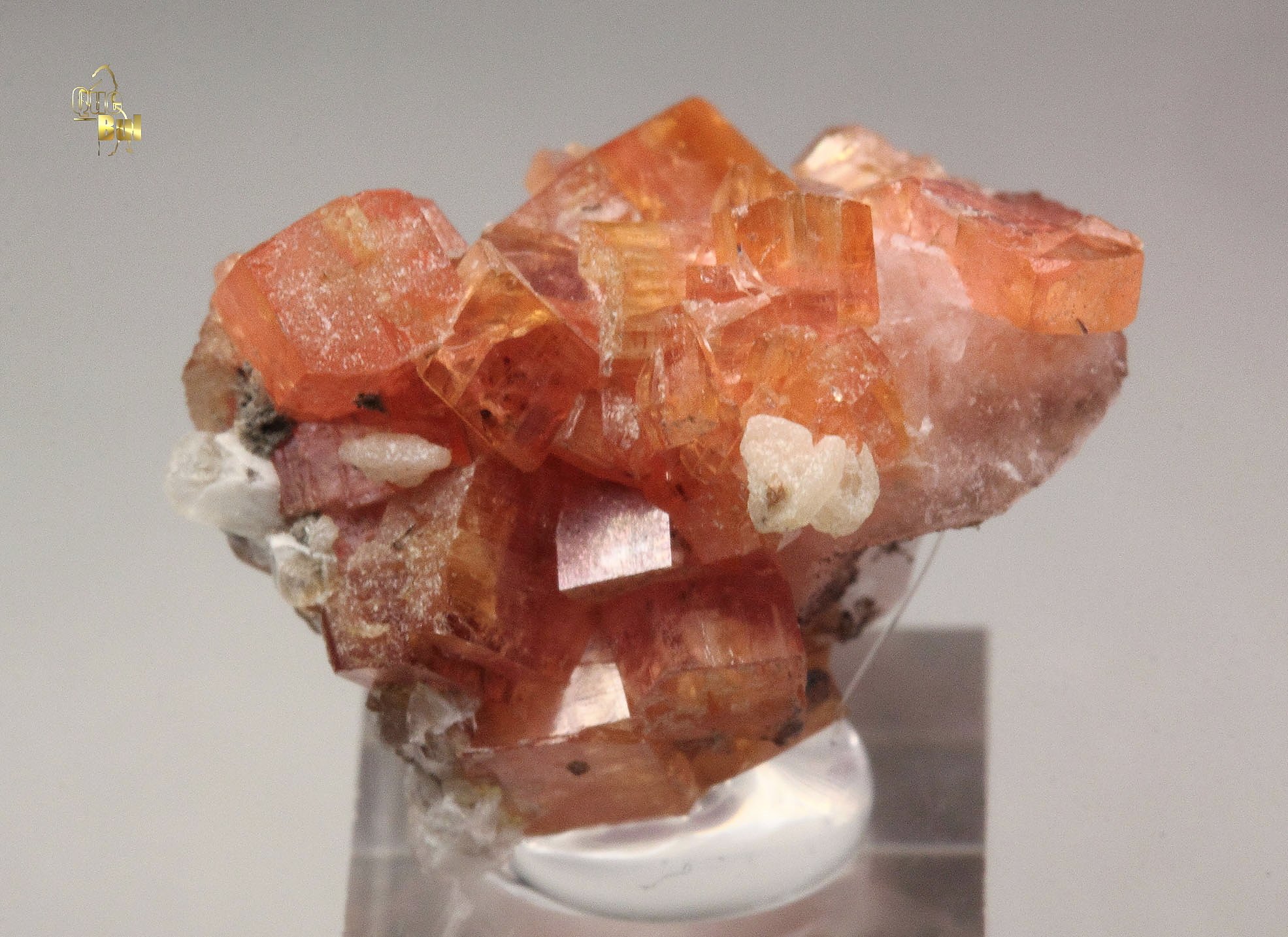 SERANDITE
