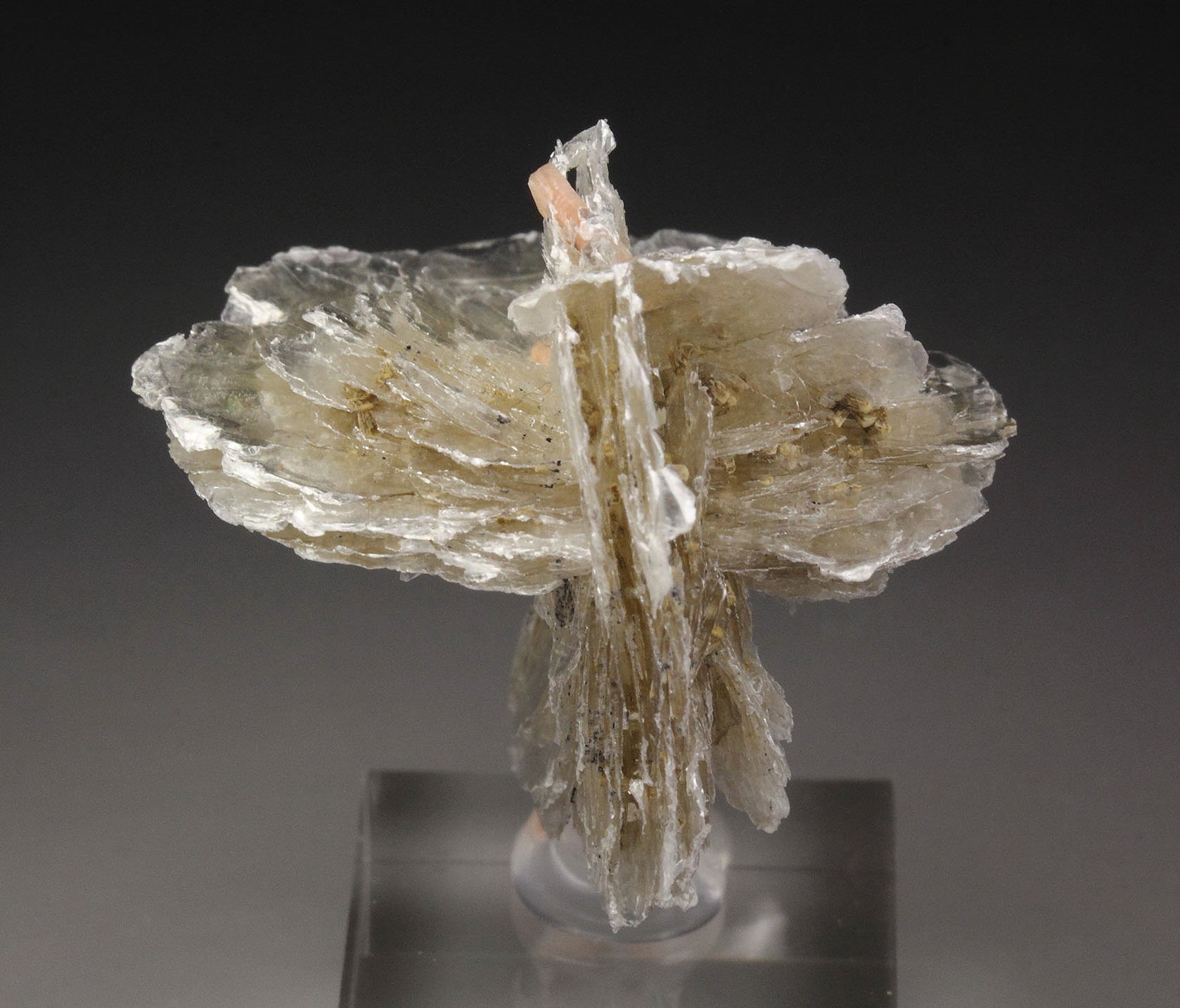 POLYLITHIONITE, SCHIZOLITE