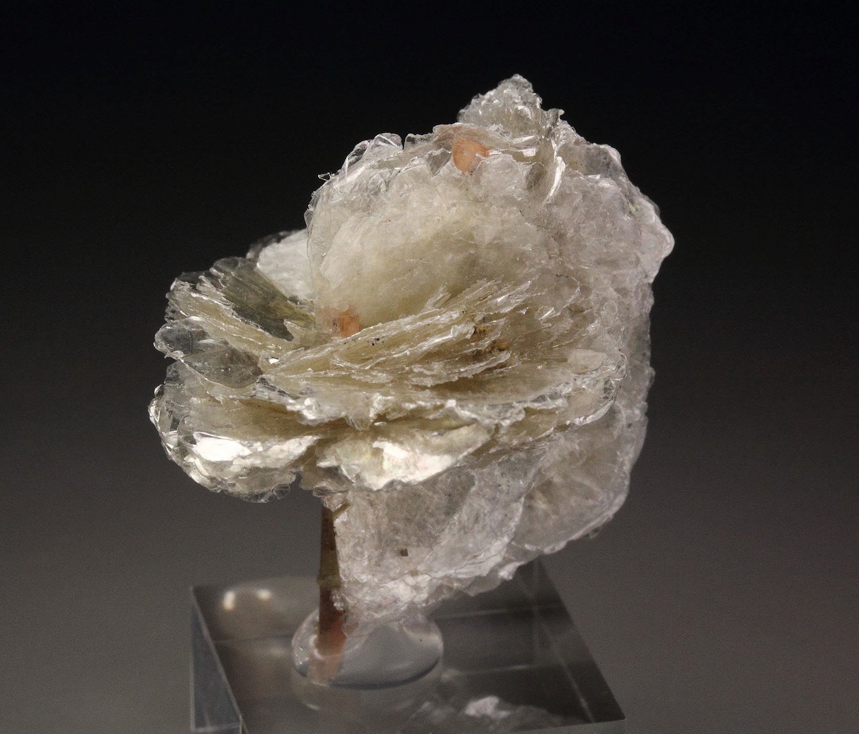 POLYLITHIONITE, SCHIZOLITE