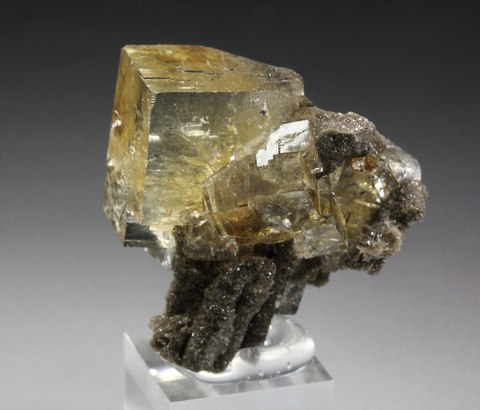 FLUORITE