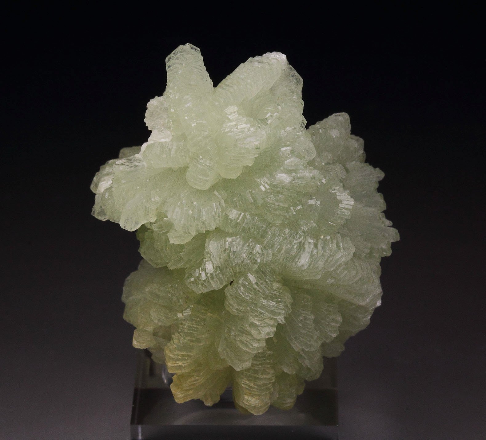 PREHNITE