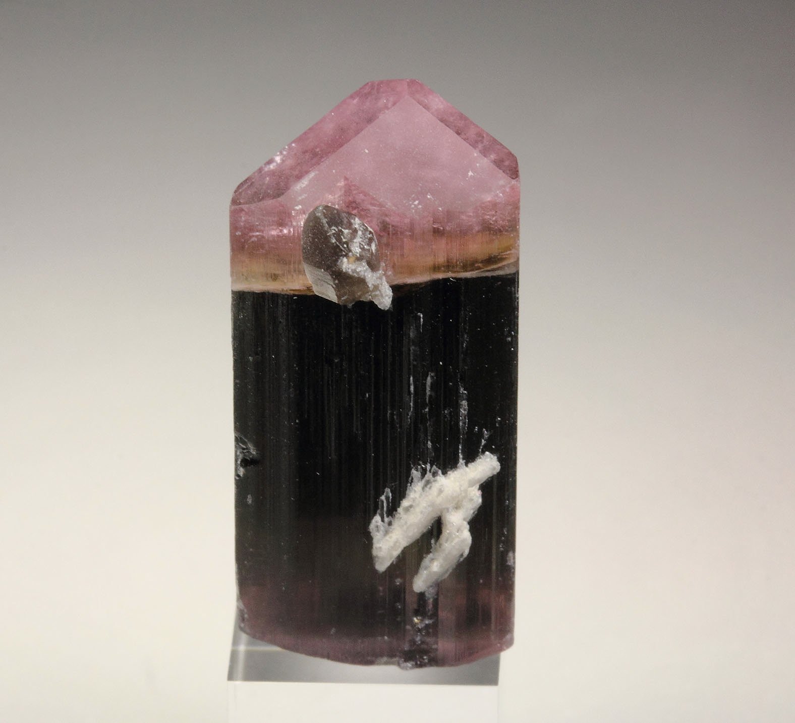 gem bi-terminated TOURMALINE var. ELBAITE multicolor, QUARTZ, ALBITE