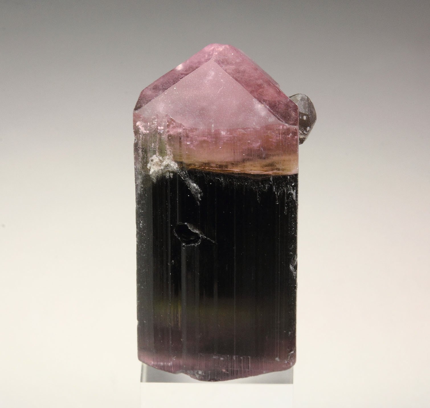 gem bi-terminated TOURMALINE var. ELBAITE multicolor, QUARTZ, ALBITE